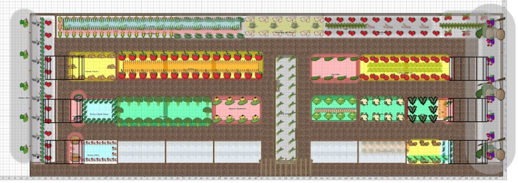 I used Growveg.com's wonderful planning to put the garden in my head on paper.